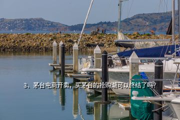 3、茅台电商开卖，买茅台的抢购潮可以终结了吗？