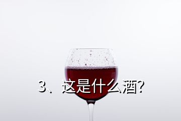 3、这是什么酒？