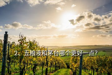 2、五粮液和茅台哪个更好一点？