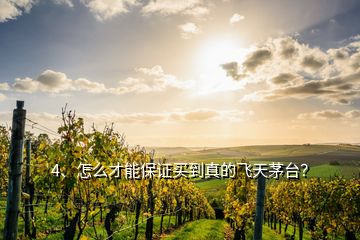 4、怎么才能保证买到真的飞天茅台？