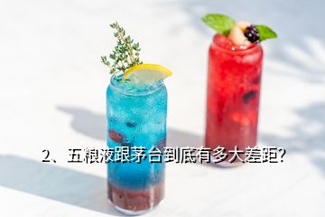 2、五粮液跟茅台到底有多大差距？