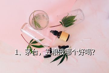 1、茅台，五粮液哪个好喝？