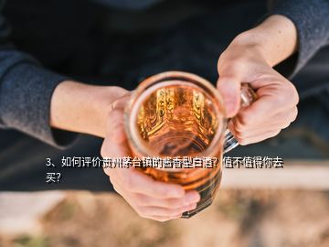 3、如何评价贵州茅台镇的酱香型白酒？值不值得你去买？