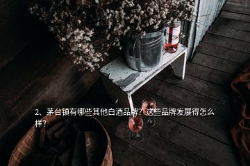 2、茅台镇有哪些其他白酒品牌？这些品牌发展得怎么样？