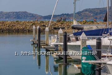 1、为什么叫飞天茅台？飞天和五星的区别是什么？