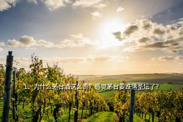 1、为什么茅台酒这么贵？感觉茅台要跌落圣坛了？