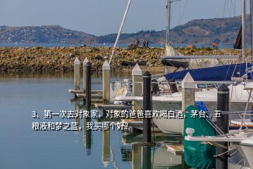 3、第一次去对象家，对象的爸爸喜欢喝白酒，茅台、五粮液和梦之蓝，我买哪个好？