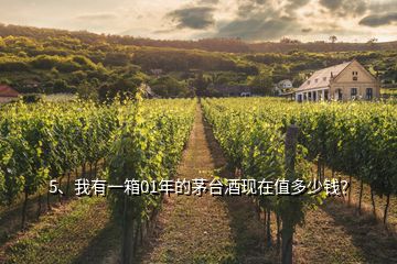 5、我有一箱01年的茅台酒现在值多少钱？