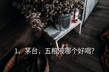 1、茅台，五粮液哪个好喝？