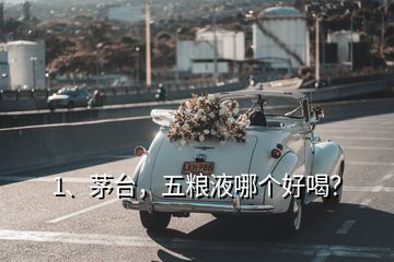 1、茅台，五粮液哪个好喝？