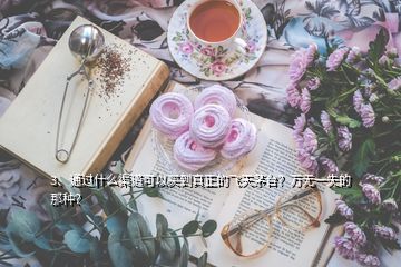 3、通过什么渠道可以买到真正的飞天茅台？万无一失的那种？