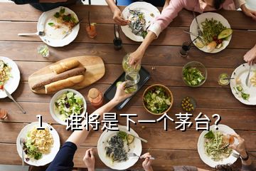 1、谁将是下一个茅台？