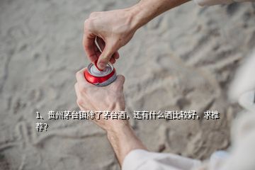 1、贵州茅台镇除了茅台酒，还有什么酒比较好，求推荐？