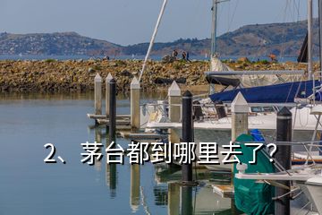 2、茅台都到哪里去了？