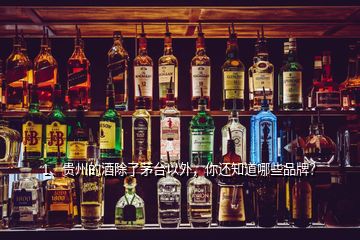 1、贵州的酒除了茅台以外，你还知道哪些品牌？