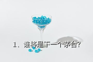 1、谁将是下一个茅台？