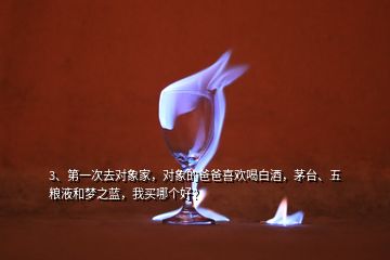 3、第一次去对象家，对象的爸爸喜欢喝白酒，茅台、五粮液和梦之蓝，我买哪个好？