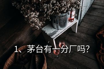 1、茅台有一分厂吗？