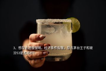 3、想存点酒慢慢喝，经济条件有限，存点茅台王子和玻汾53是否可行？