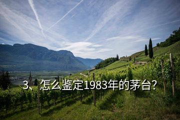 3、怎么鉴定1983年的茅台？