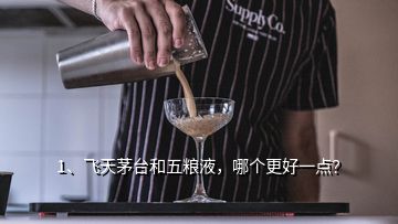 1、飞天茅台和五粮液，哪个更好一点？