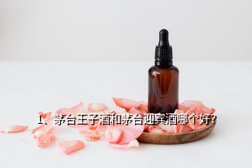 1、茅台王子酒和茅台迎宾酒哪个好？