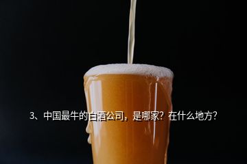 3、中国最牛的白酒公司，是哪家？在什么地方？