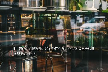 3、想存点酒慢慢喝，经济条件有限，存点茅台王子和玻汾53是否可行？