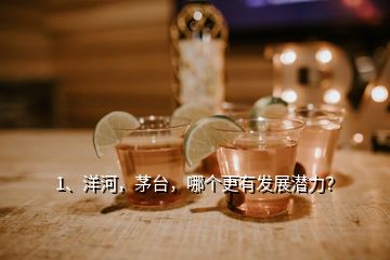 1、洋河，茅台，哪个更有发展潜力？