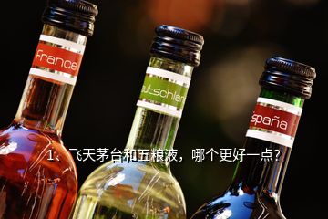 1、飞天茅台和五粮液，哪个更好一点？