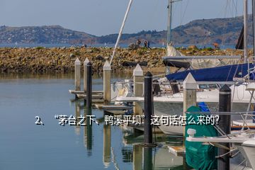 2、“茅台之下、鸭溪平坝”这句话怎么来的？