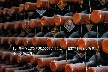 3、贵州茅台市值破10000亿那么高，如果拿100个亿投贵阳，会怎么样？