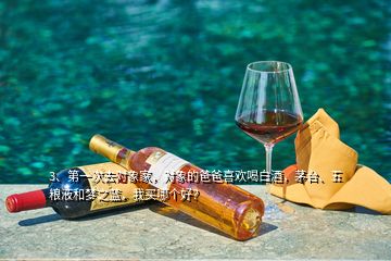 3、第一次去对象家，对象的爸爸喜欢喝白酒，茅台、五粮液和梦之蓝，我买哪个好？