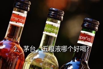 2、茅台，五粮液哪个好喝？