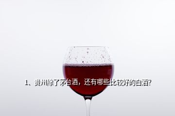 1、贵州除了茅台酒，还有哪些比较好的白酒？