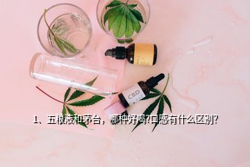 1、五粮液和茅台，哪种好喝?口感有什么区别？