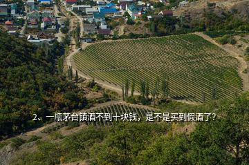 2、一瓶茅台镇酒不到十块钱，是不是买到假酒了？