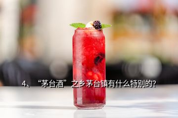 4、“茅台酒”之乡茅台镇有什么特别的？