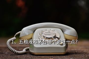 1、五粮液和茅台哪个更好一点？