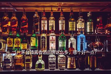 1、茅台镇酱香酒品牌这么多，哪个好一点？