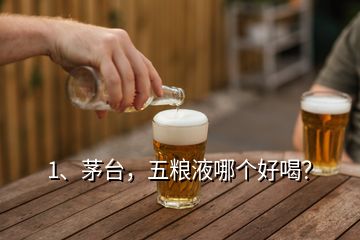 1、茅台，五粮液哪个好喝？