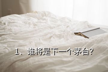 1、谁将是下一个茅台？