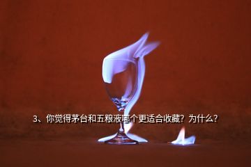 3、你觉得茅台和五粮液哪个更适合收藏？为什么？