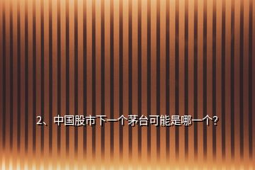 2、中国股市下一个茅台可能是哪一个？