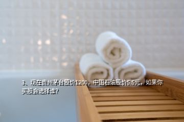 3、现在贵州茅台股价1200，中国石油股价5.5元，如果你买股会选择谁？