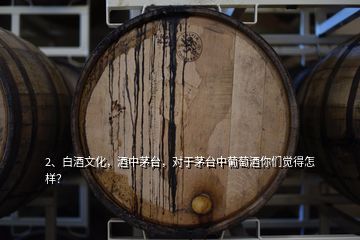 2、白酒文化，酒中茅台，对于茅台中葡萄酒你们觉得怎样？