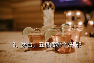 3、茅台，五粮液哪个好喝？