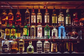 1、茅台镇有哪些其他白酒品牌？这些品牌发展得怎么样？