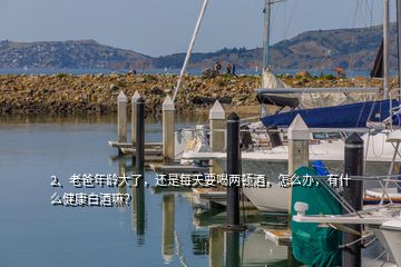 2、老爸年龄大了，还是每天要喝两顿酒，怎么办，有什么健康白酒嘛？