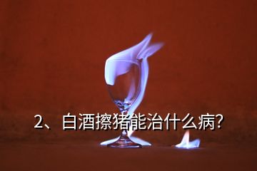 2、白酒擦猪能治什么病？